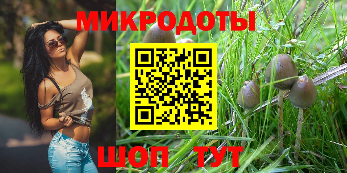 Галлюциногенные грибы Psilocybine cubensis  Урус-Мартан  где продают   Галлюциногенные грибы Psilocybine cubensis 