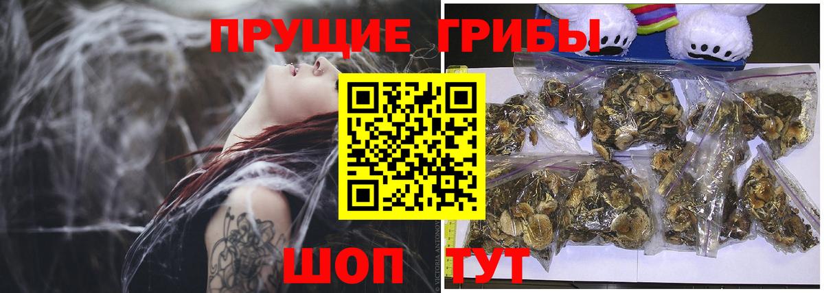 Урус-Мартан  Галлюциногенные грибы Magic Shrooms  Вход с VPN 